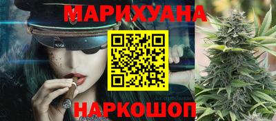 прущие грибы Моздок